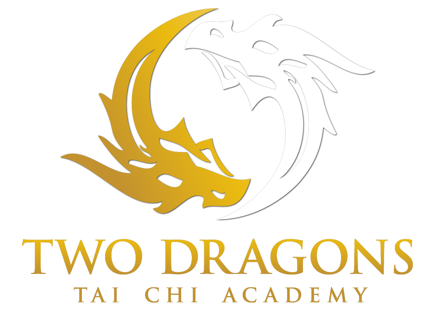 Two Dragons Tai Chi