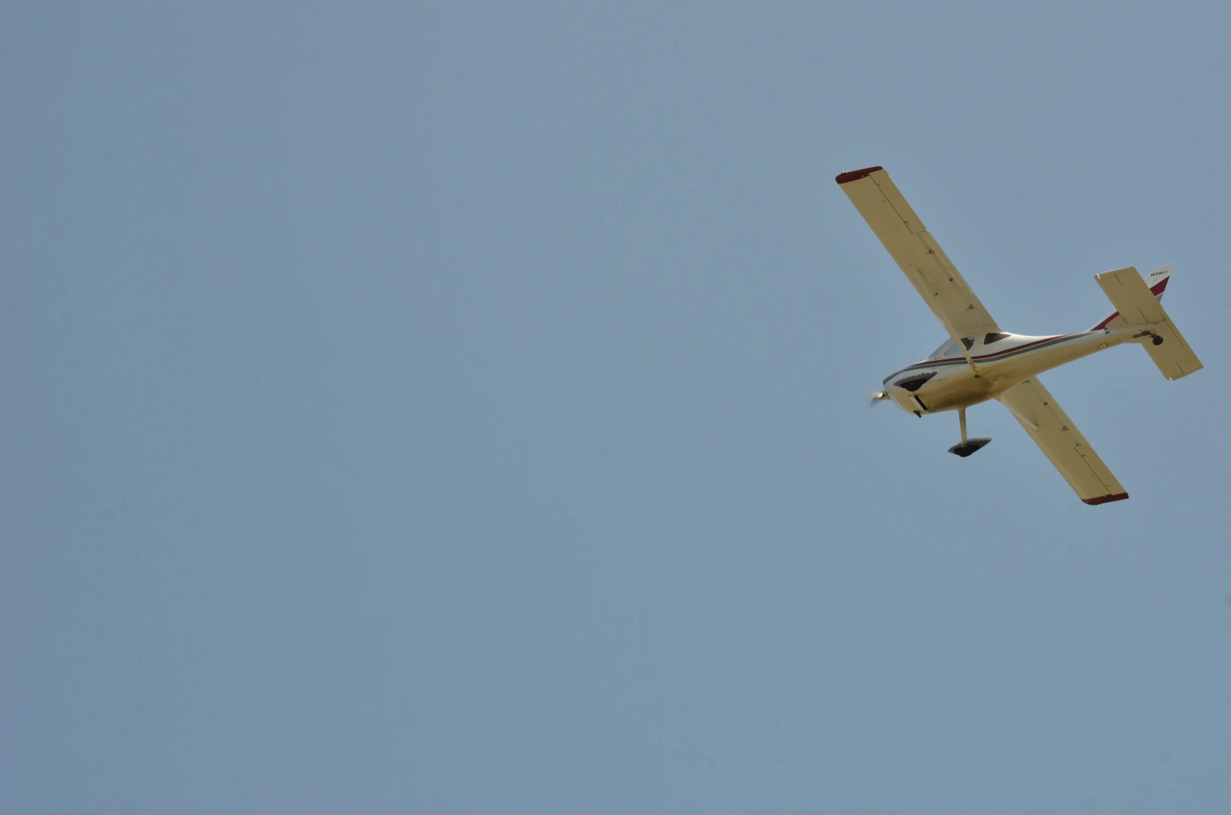 DSC_6668.jpg