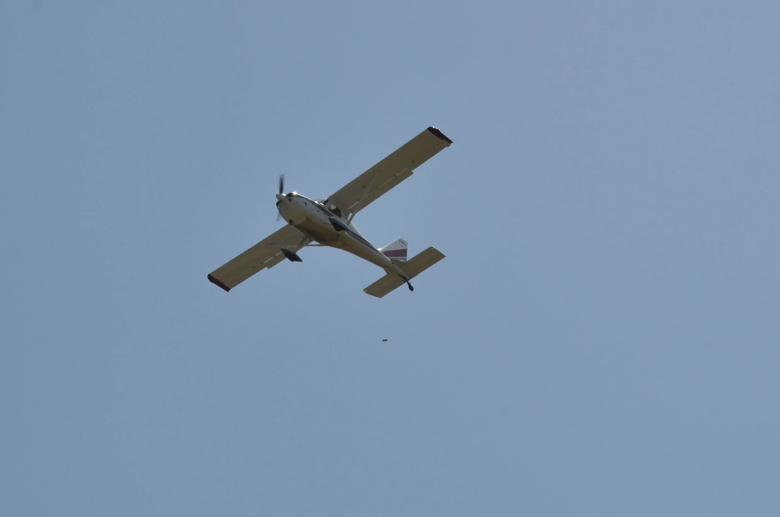 DSC_6682.jpg