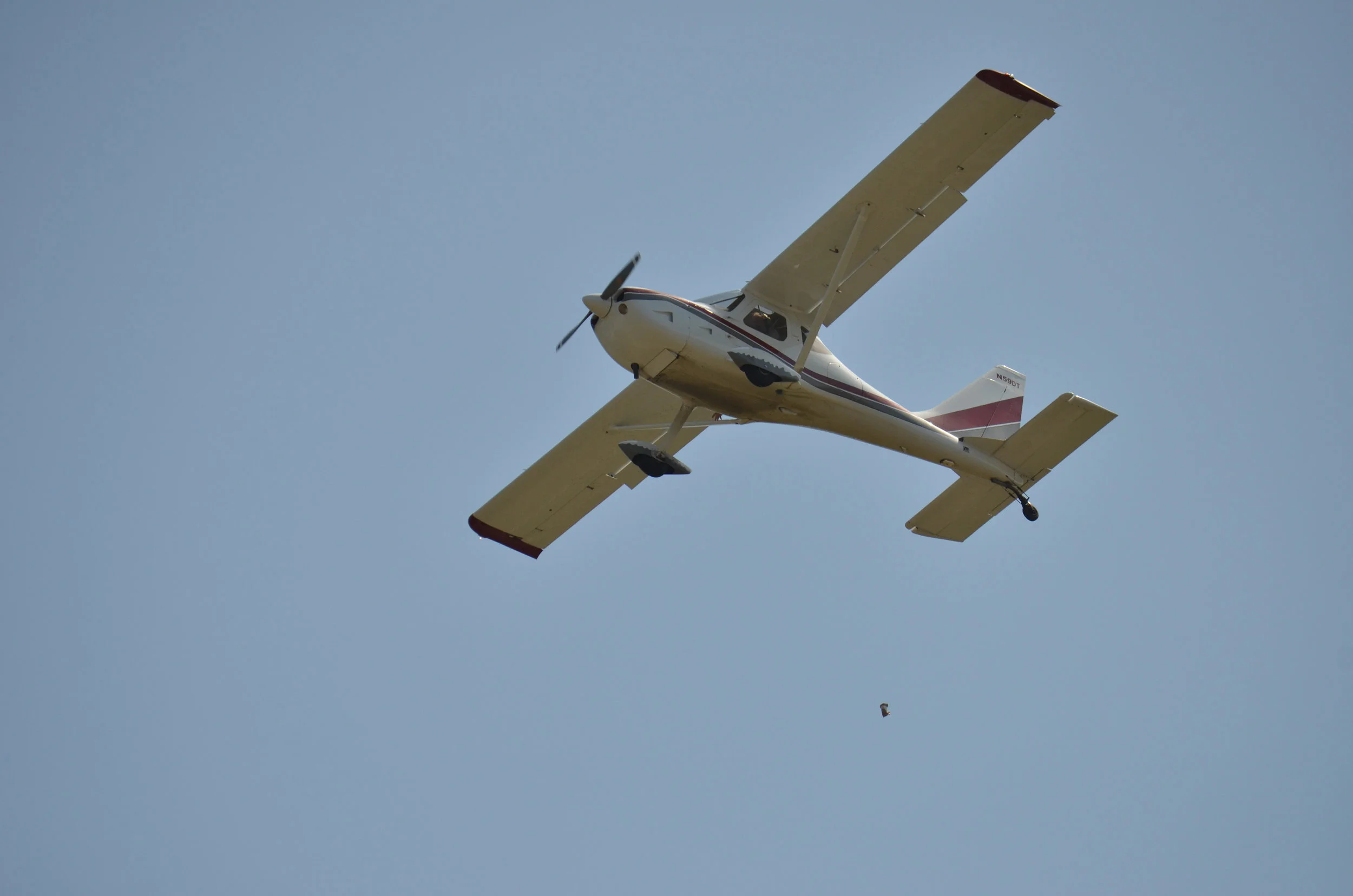 DSC_6742.jpg