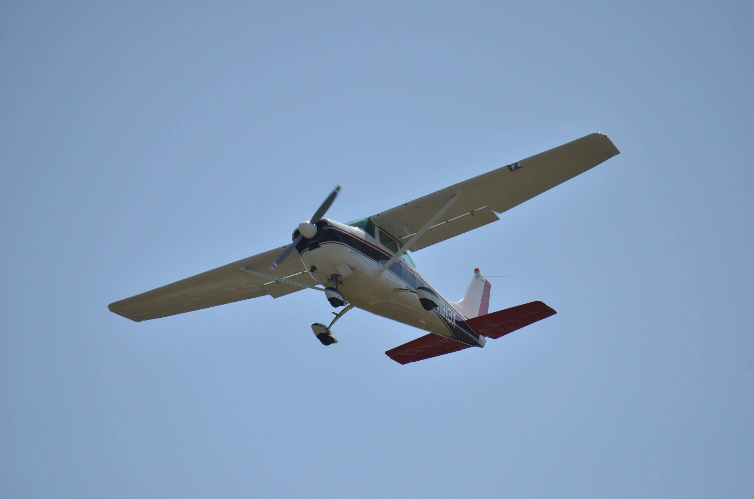 DSC_6780.jpg