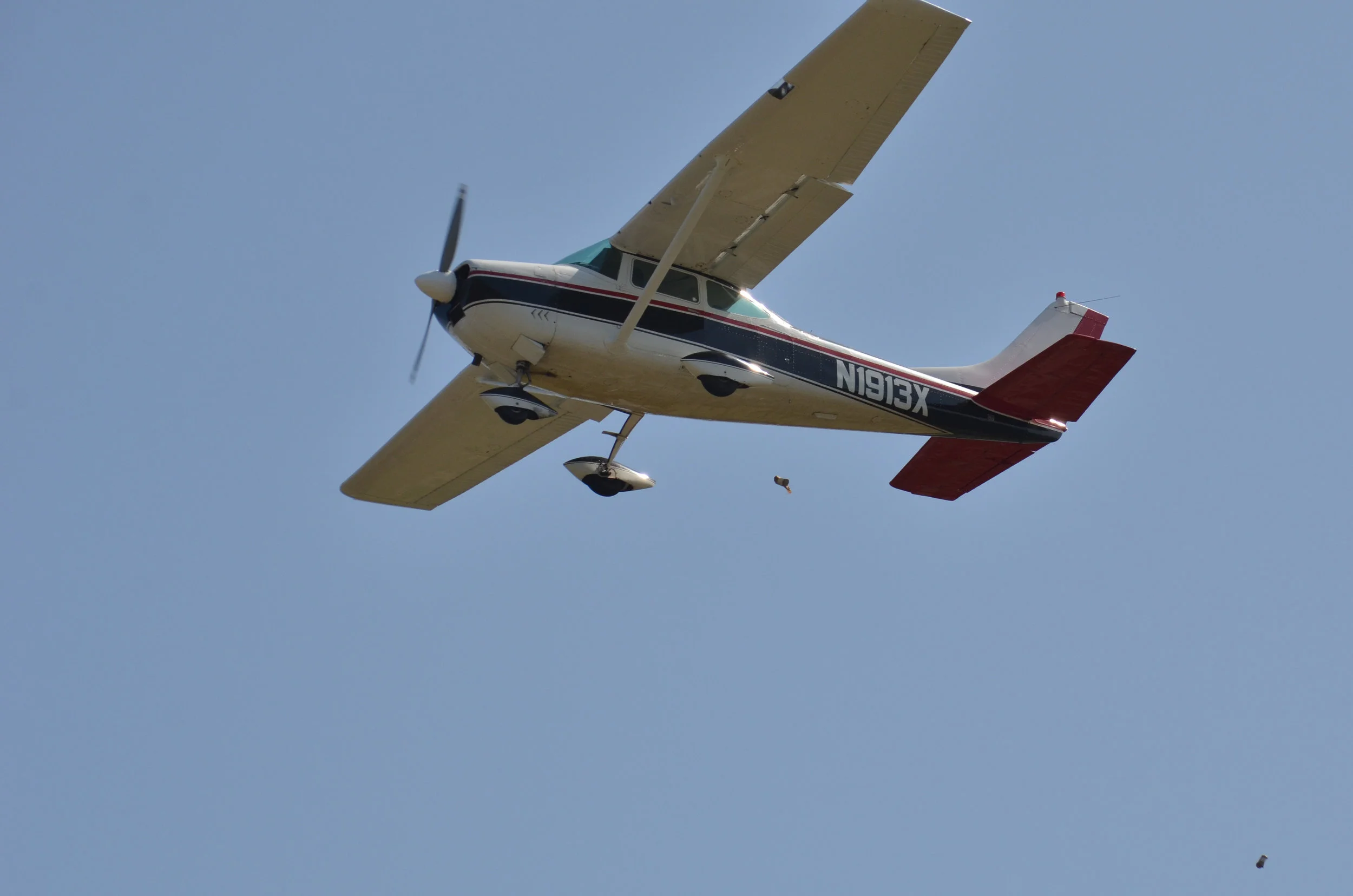 DSC_6876.jpg