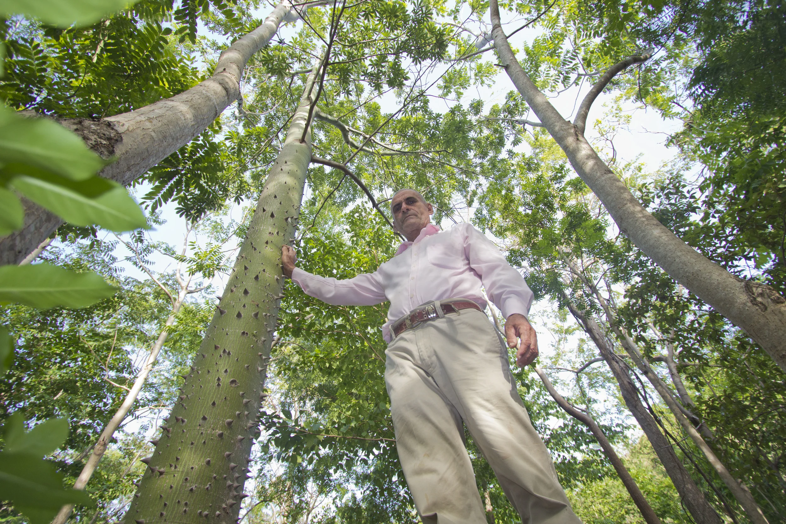 Don Miguel with trees planted through Paso Pacifico's program