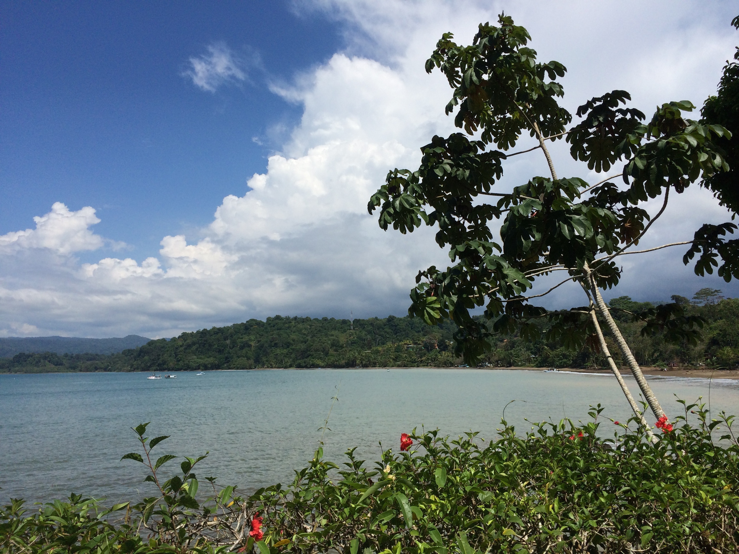 Drake Bay