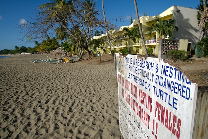 Hotel built on a turtle nesting beach. Photo by Neil Osborne