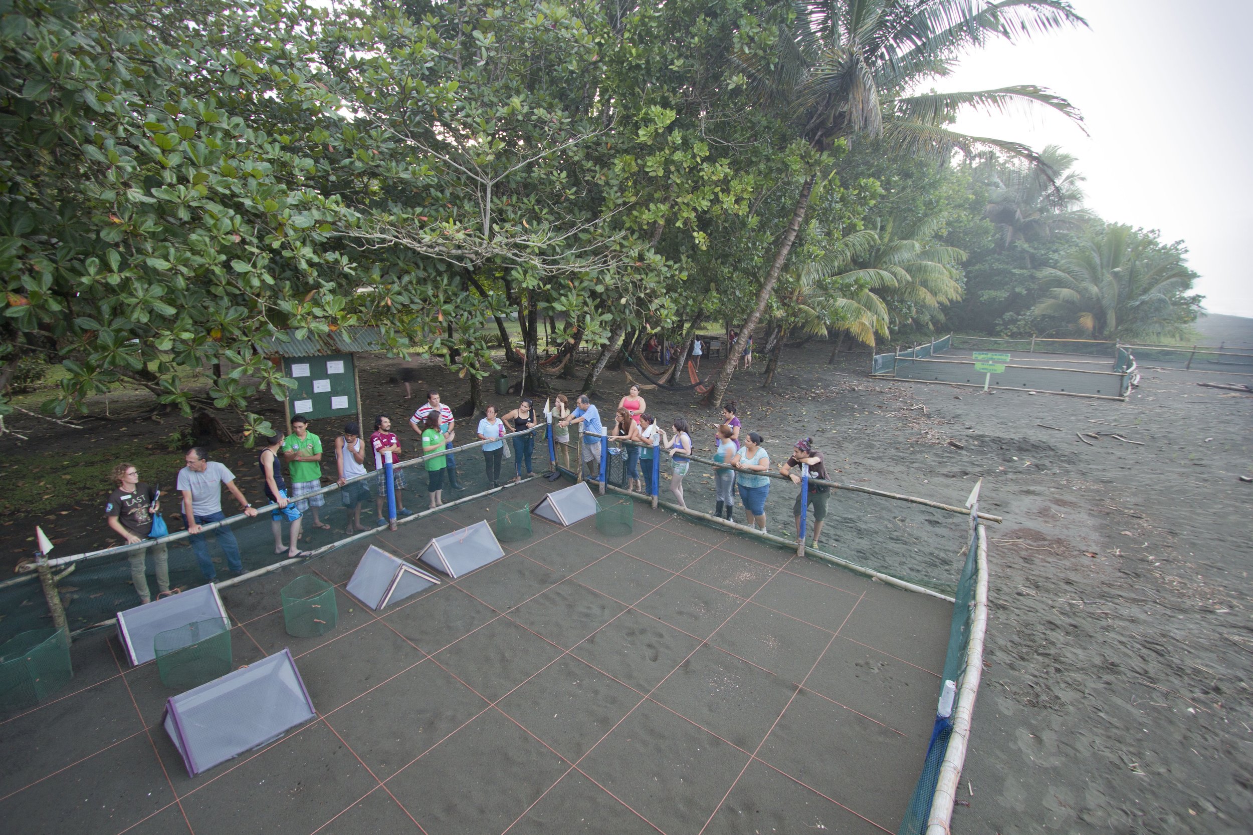 Day 4: Hatchery work is one of the possible daytime jobs