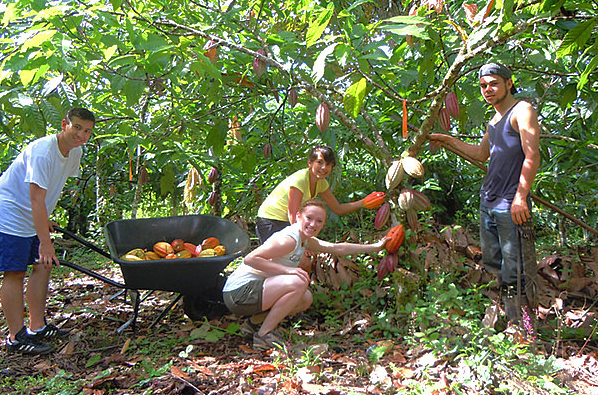 Day 6: Head to the Finca Kobo Organic Farm to learn about chocolate and other plants
