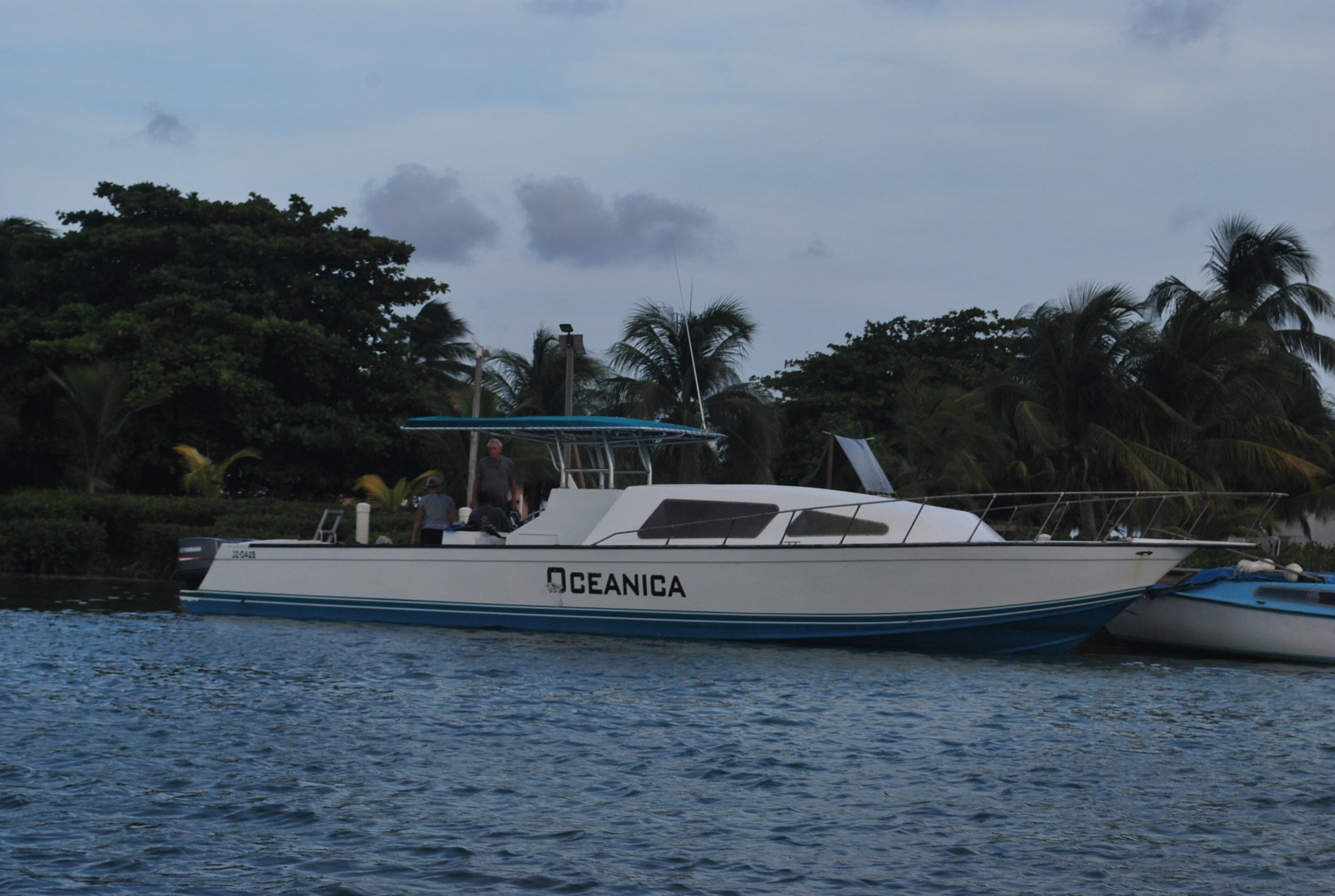 Days 2 - 3: Head out in a boat to participate in one of several activities. There will be two activities per day for the group