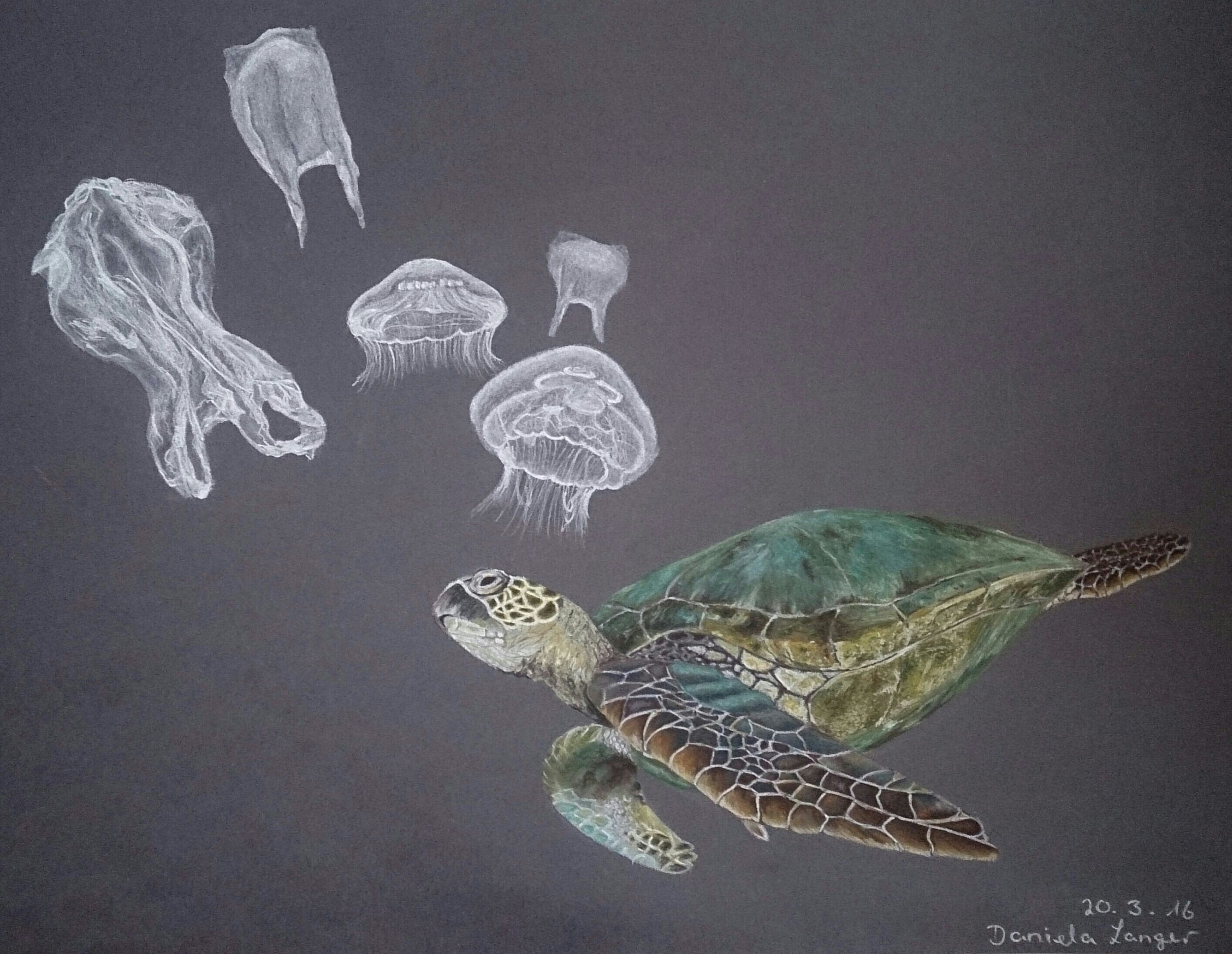 plastic and sea turtles