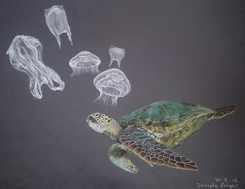 Ocean Plastic See Turtles