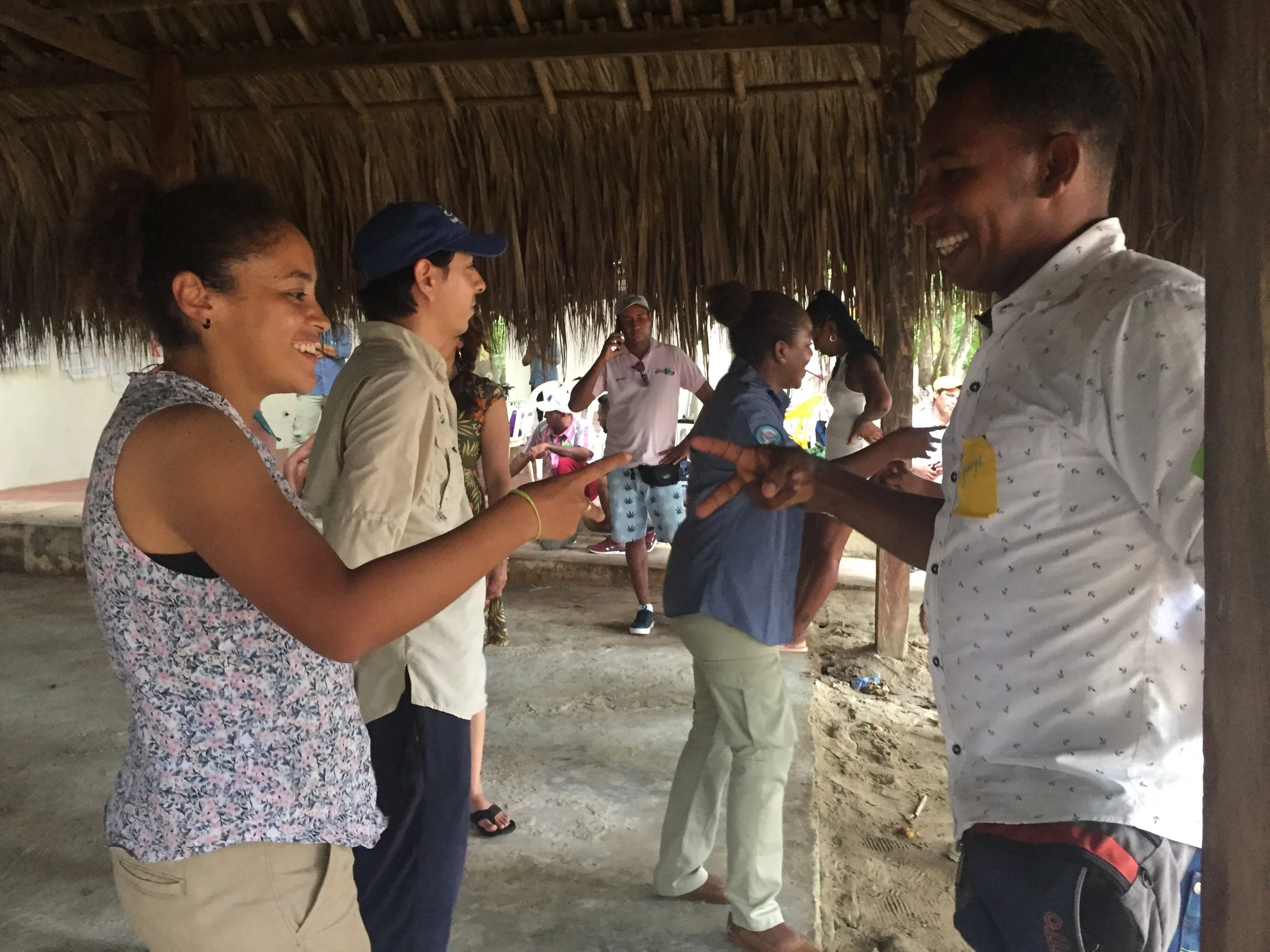 Turtle Education Workshop