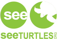 Seeturtles.png