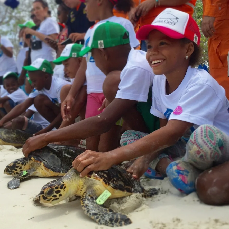 liberacion_tortugas_carey+y+verde_PNNCRySB.jpg