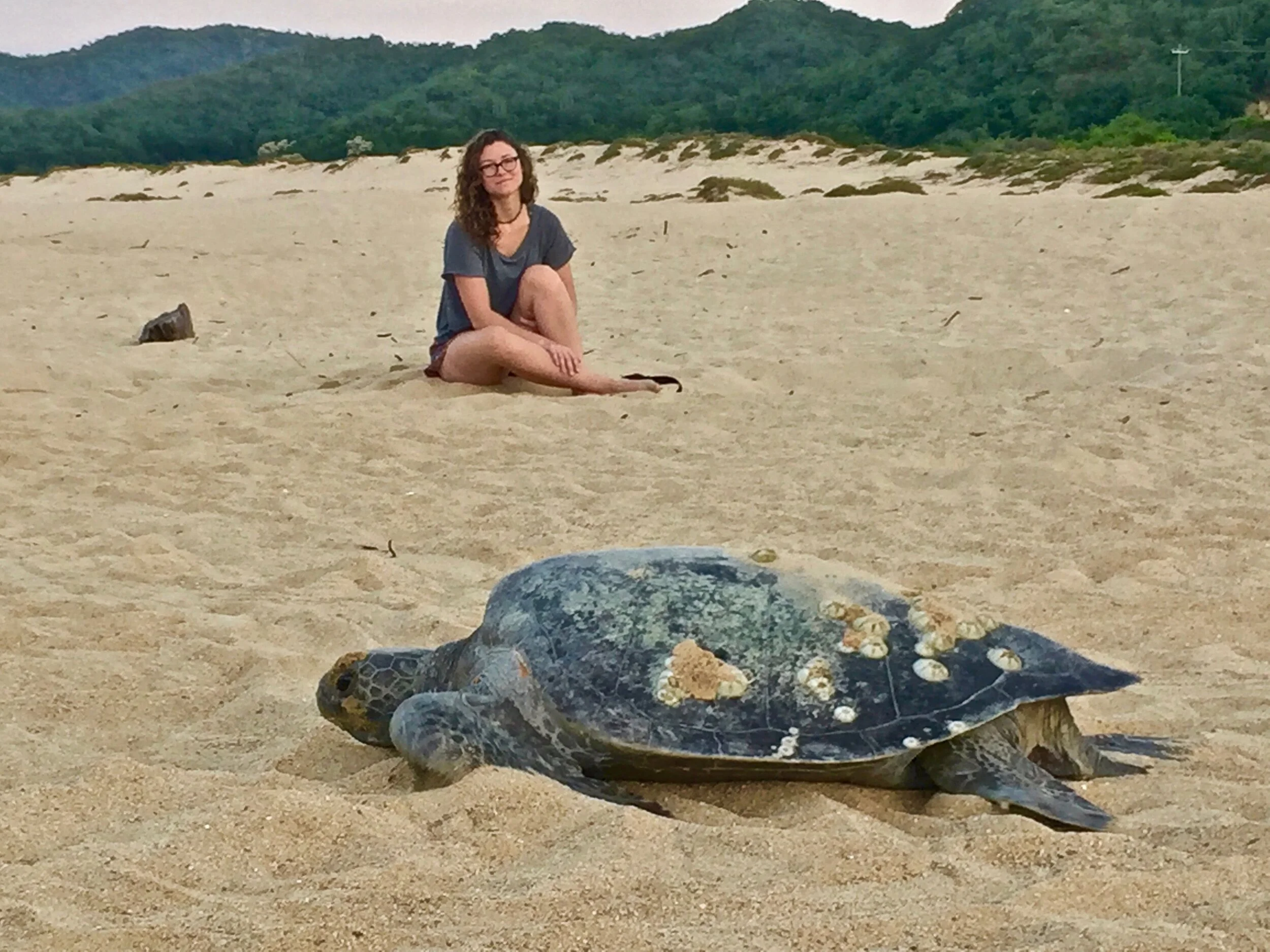 sea turtle baby stuff