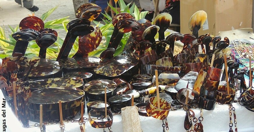 Tortoiseshell for sale in Cartagena (Fundacion Tortugas del Mar)