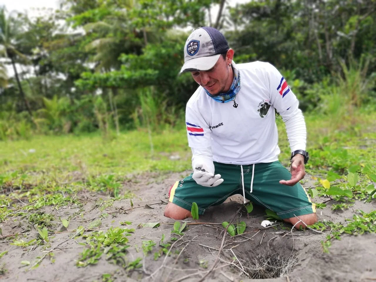 Saving Baby Turtles Around The World — SEE Turtles