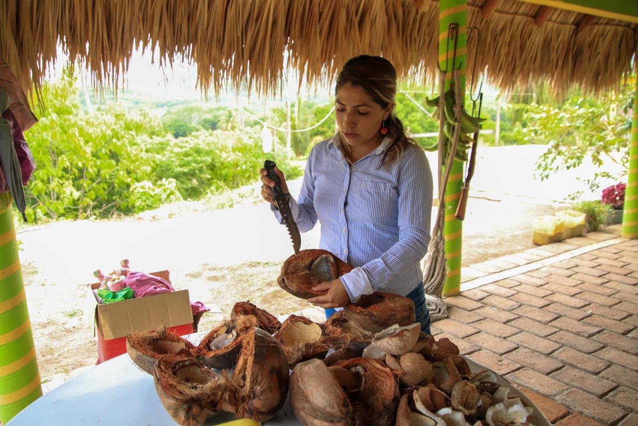  Coconut workshop 