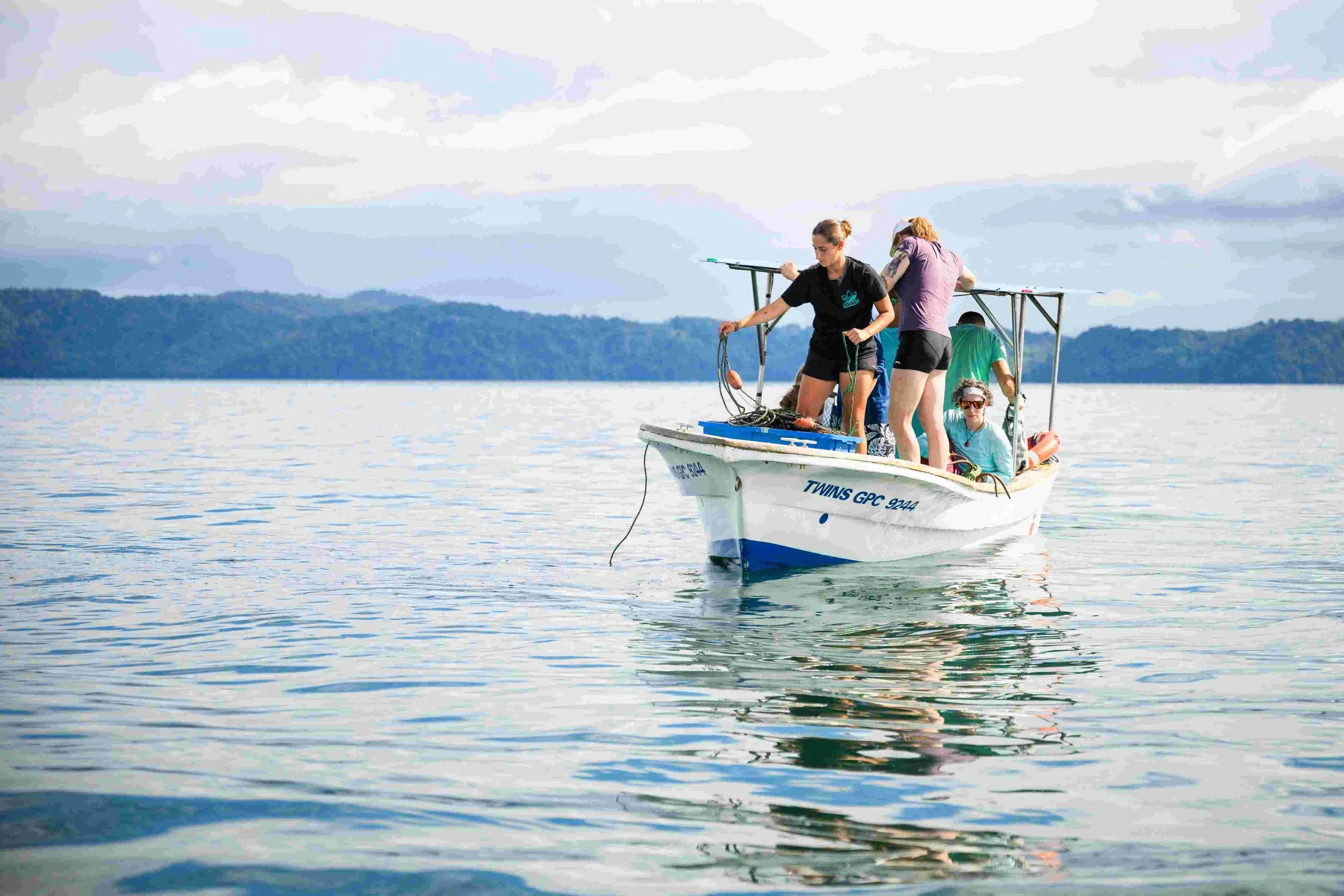 In-water Turtle Research - Setting the nets
