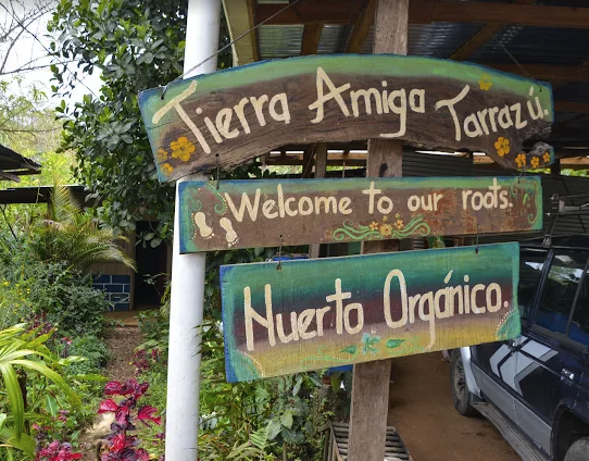 Tierra Amiga coffee farm