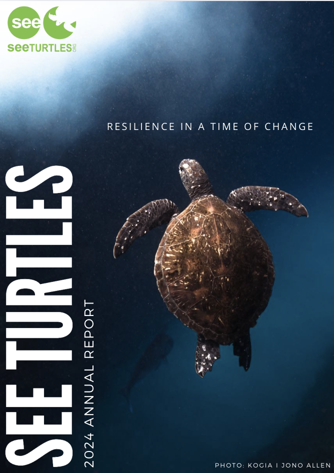 Conservation Success — SEE Turtles