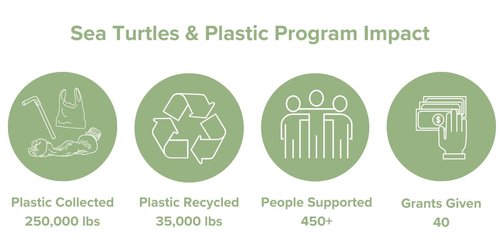 Recycling Projects — SEE Turtles