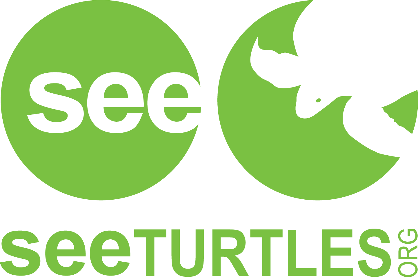 SEEturtleshighres.png