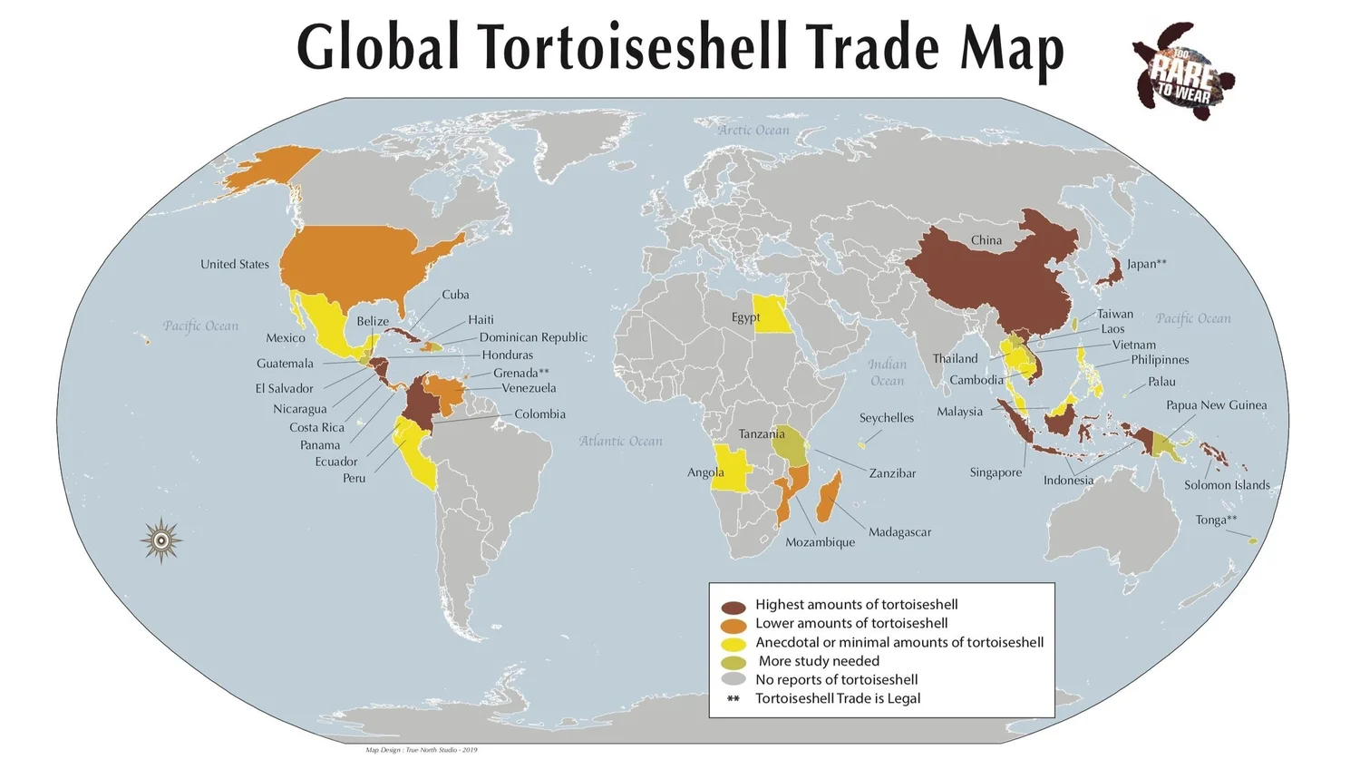 Too Rare To Wear — SEE Turtles