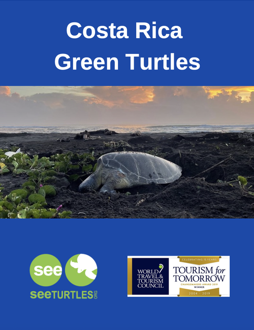 Turtle Packet Tour Packets — SEE Turtles
