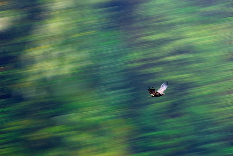 Photo: Andrew Wright