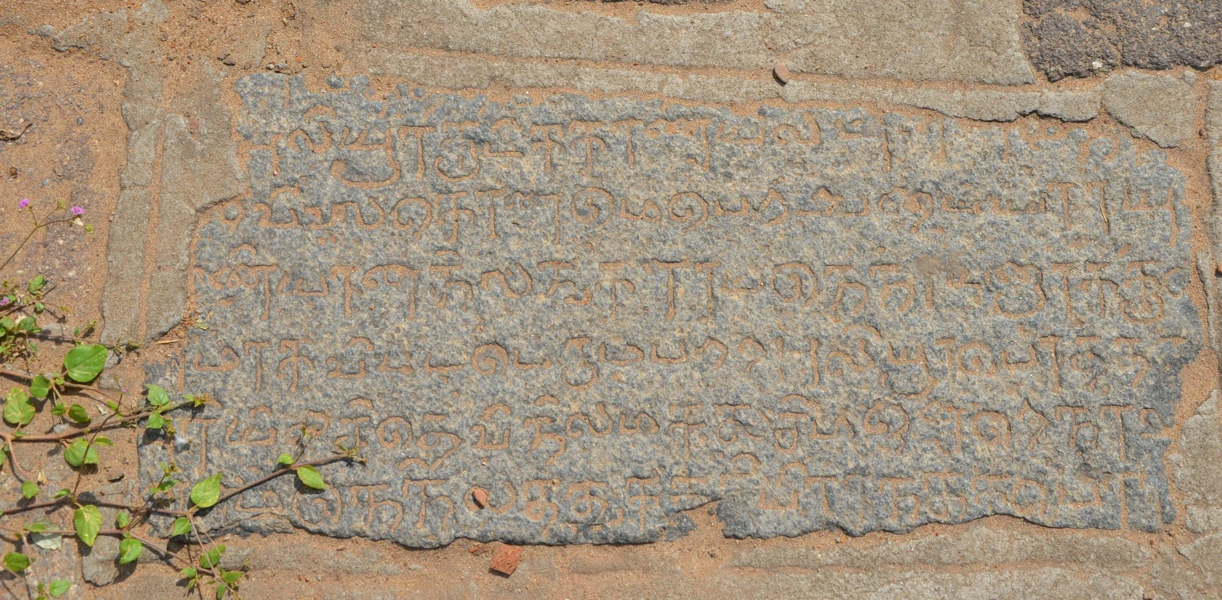 SPACE AND CONSIOUSNESS