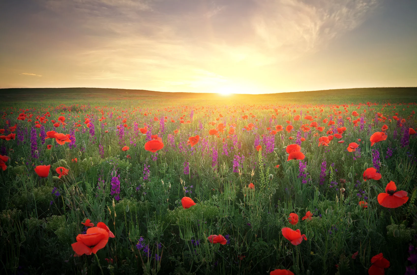 Fotolia_62241197_Subscription_Monthly_M.jpg