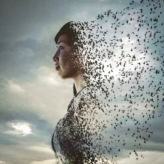 Photography Devin Schiro