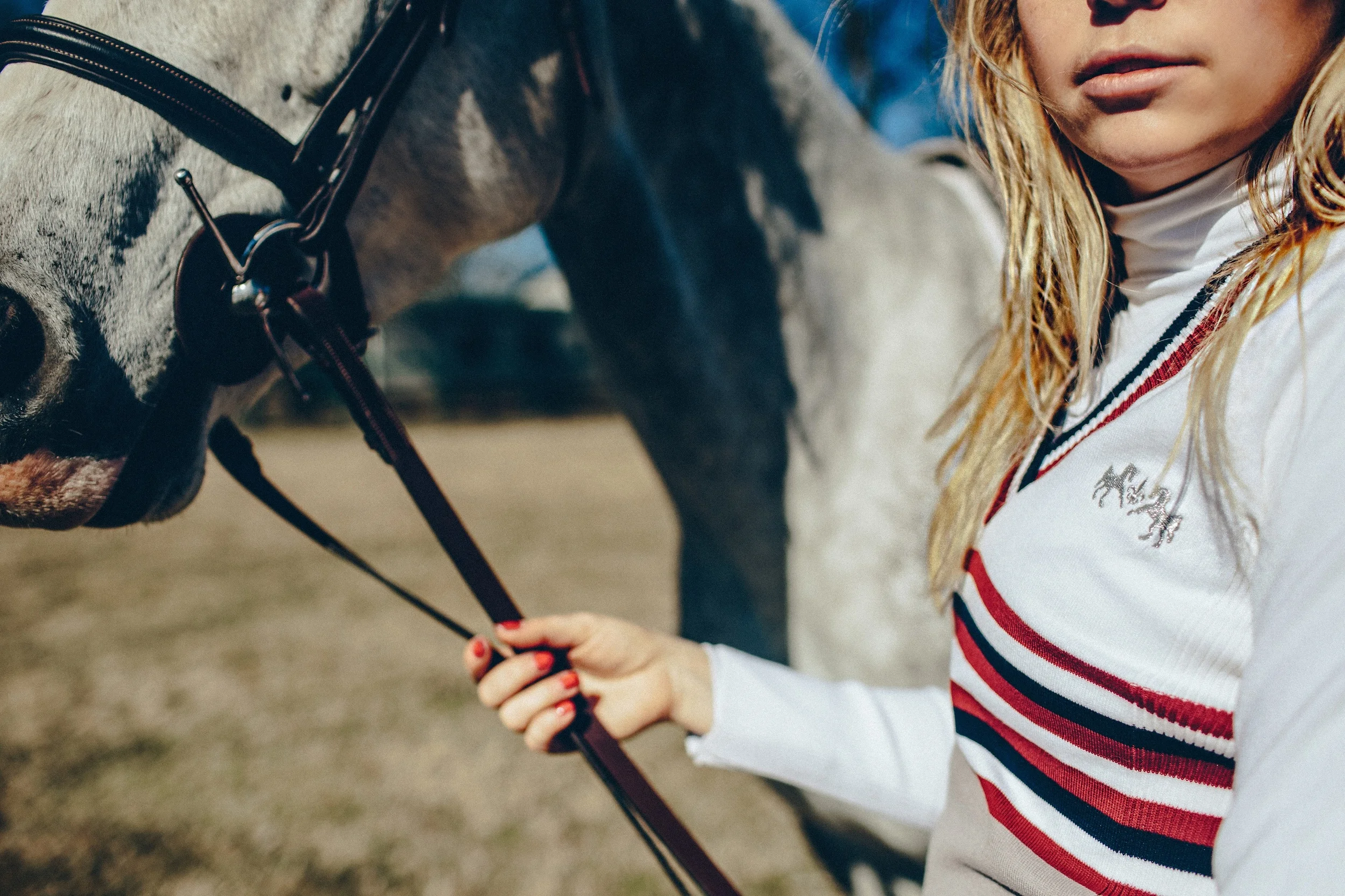 equine-couture-centennial-sweater.jpg