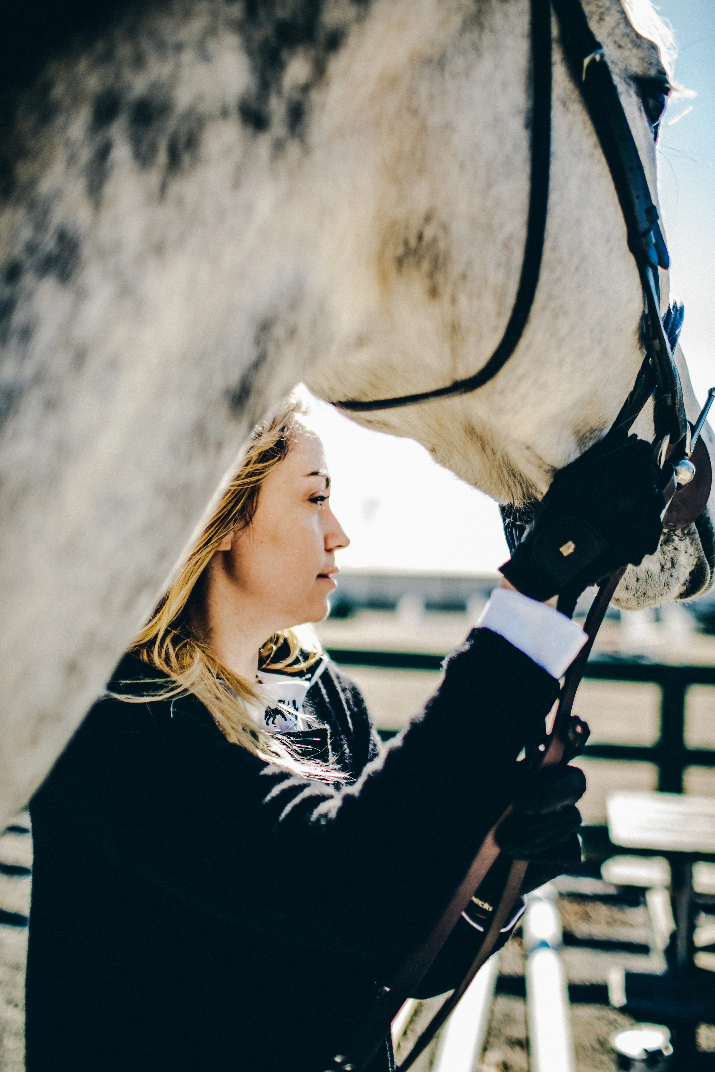 roeckl-riding-gloves.jpg