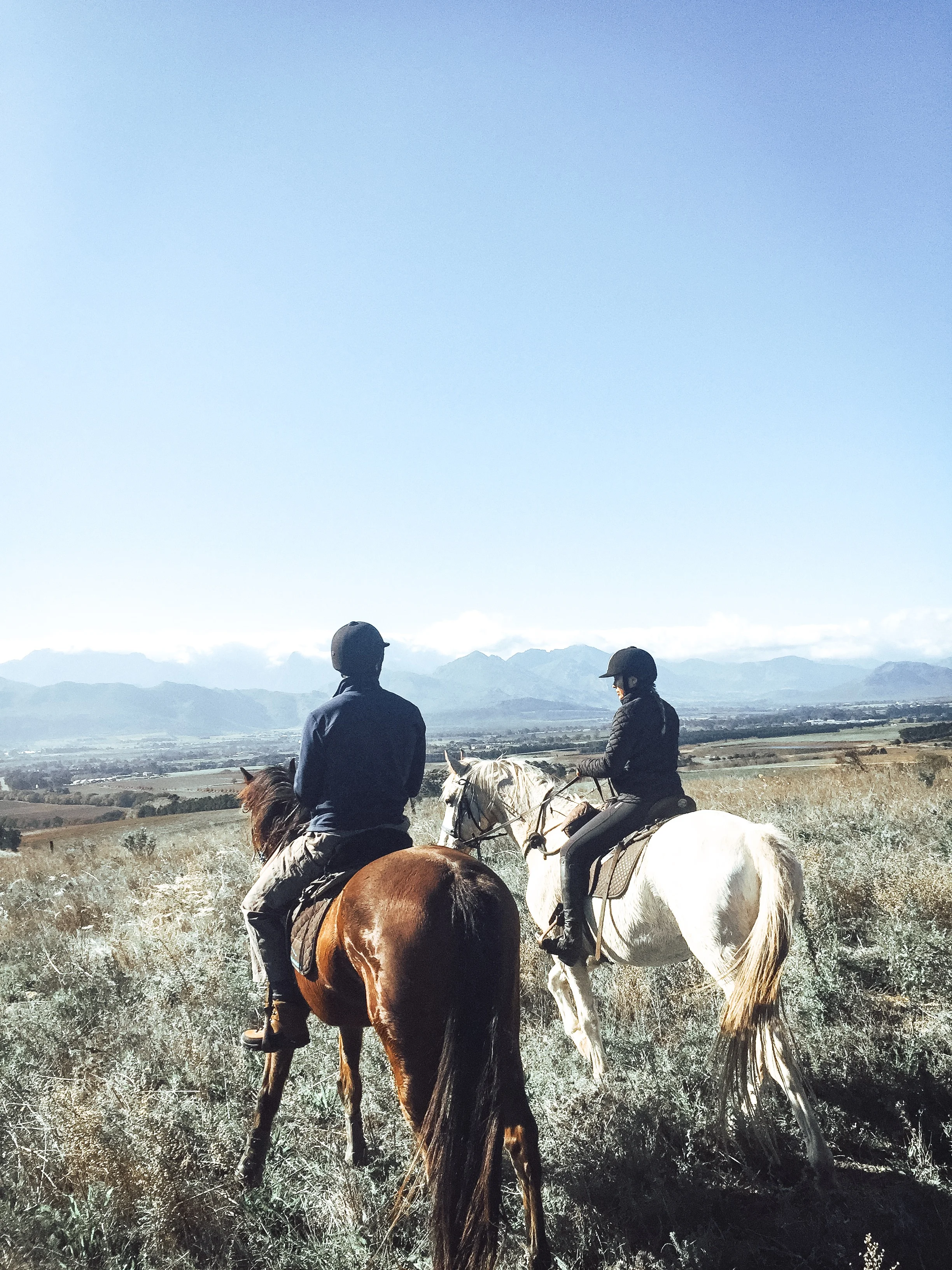 Paarl-cape-riding.jpg