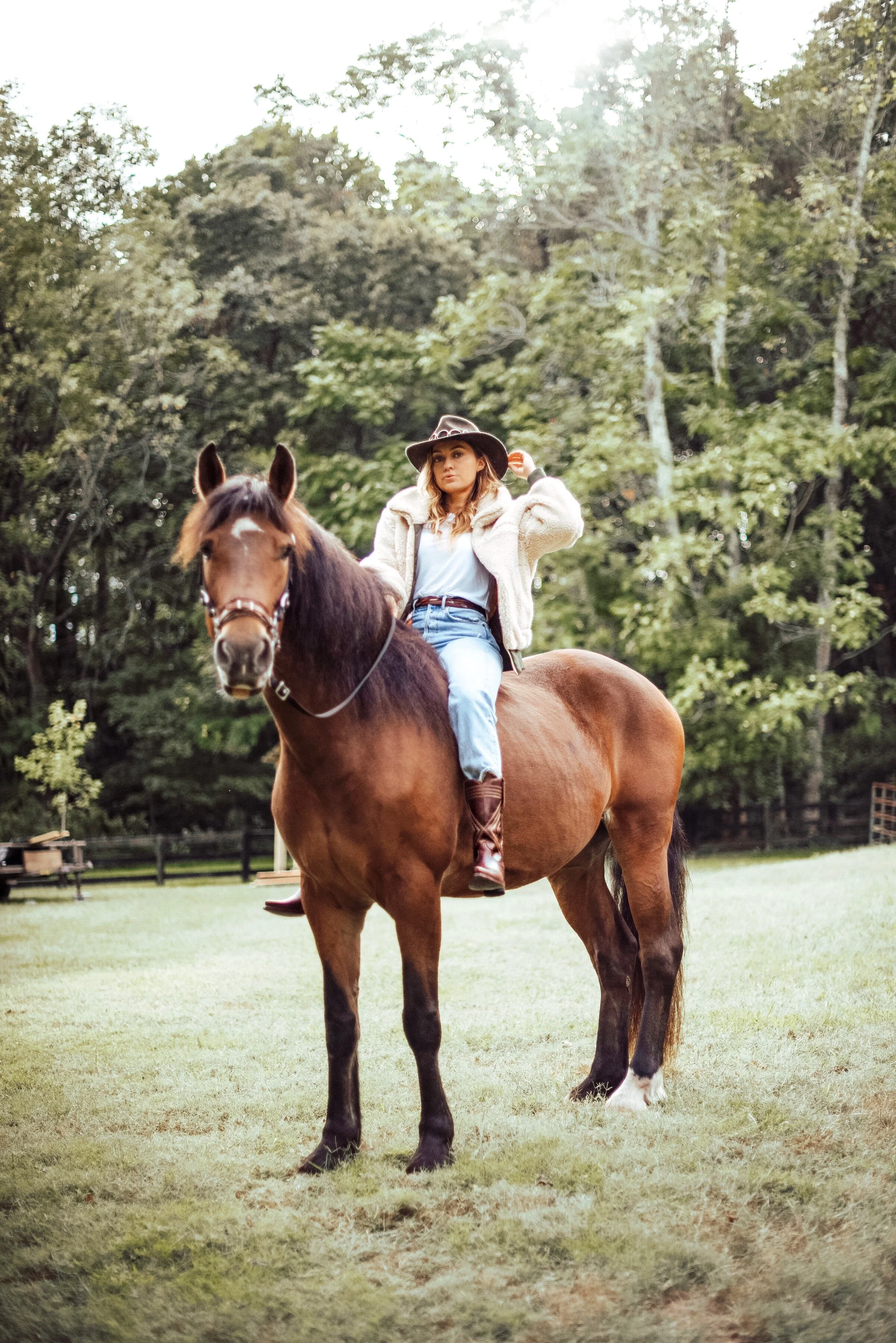 equestrian-trail-blazer.jpg