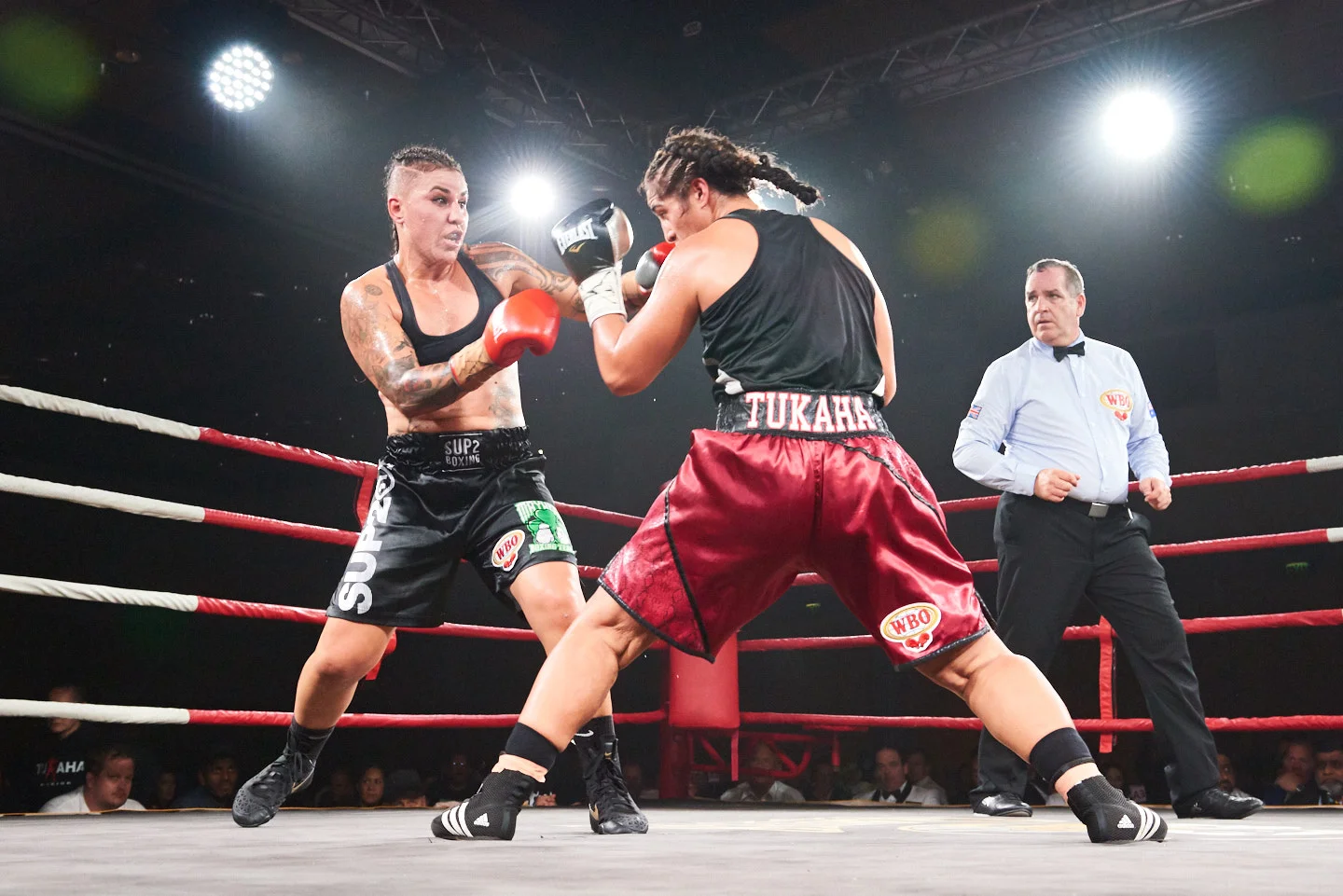 BEX_190330_230059_fight_night_small.jpg
