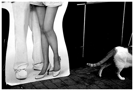 Taipei, Taiwan, 2009