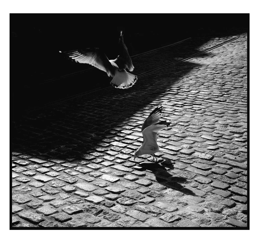 Baltimore, Maryland 2007