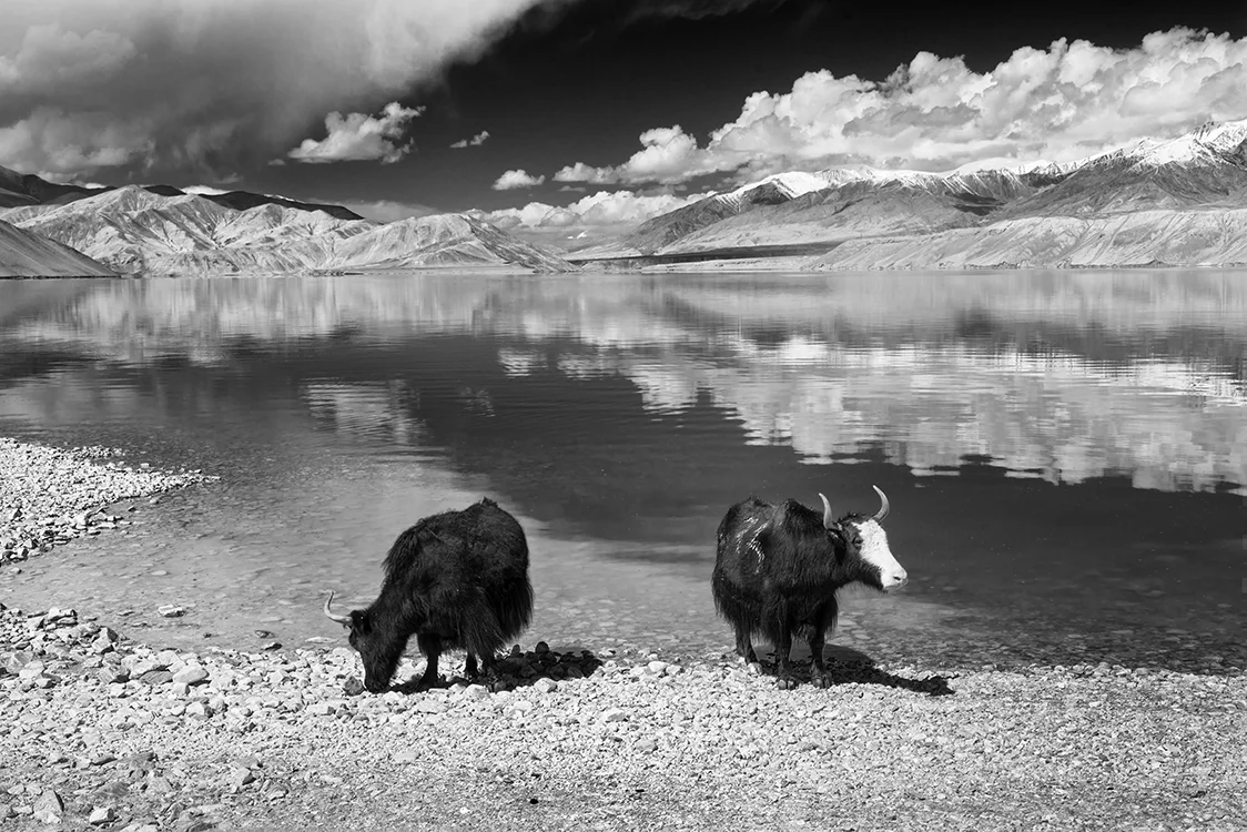Pamir Highland, 2018