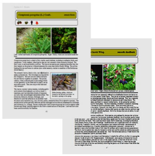 Example pages showing layout and images.