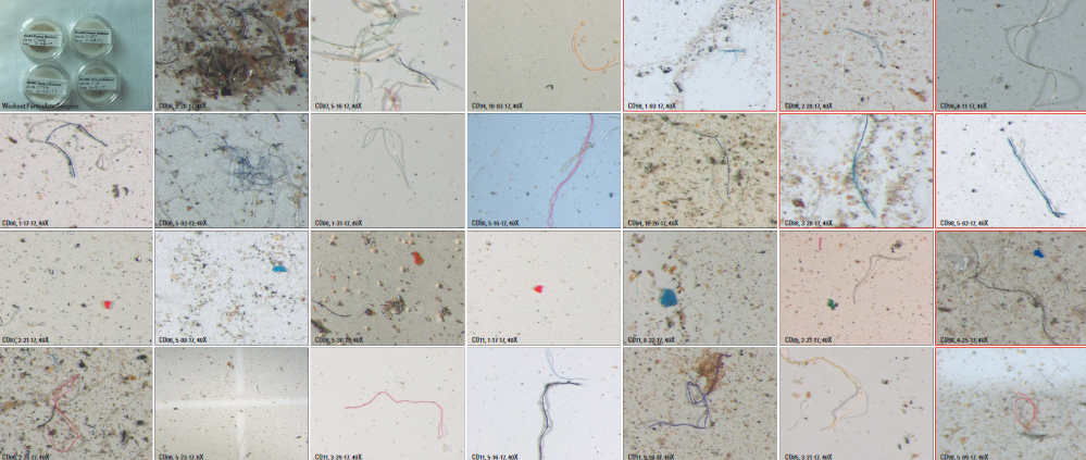 Will Plastic Raining from the Sky Initiate Change?