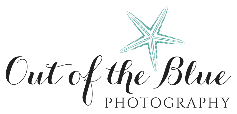 Out of the Blue Marine Life Photographer
