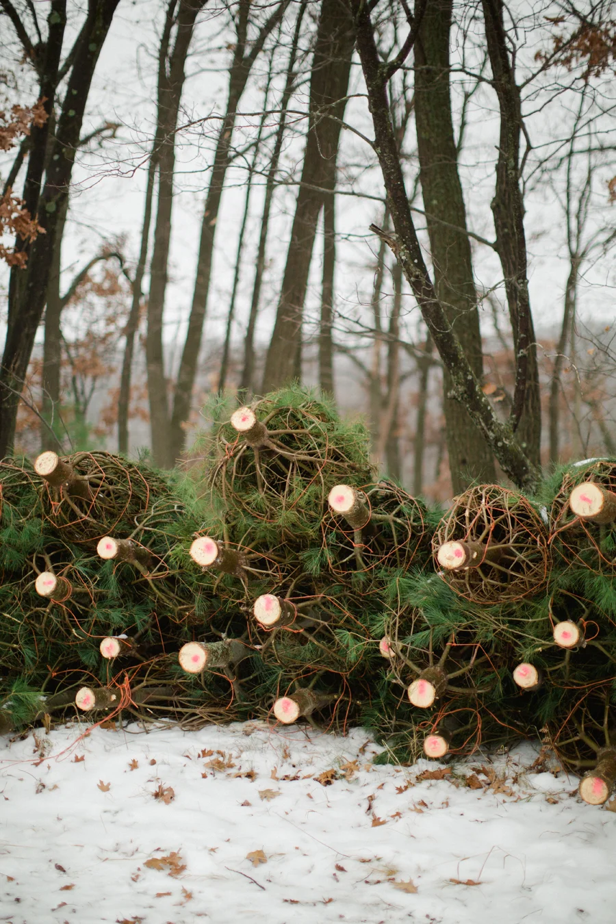 (Black) Friday Frames // The best gift