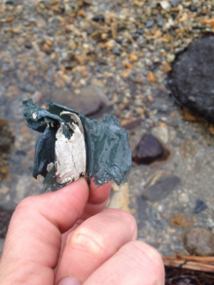TINY BITS OF PLASTIC ON THE BEACH