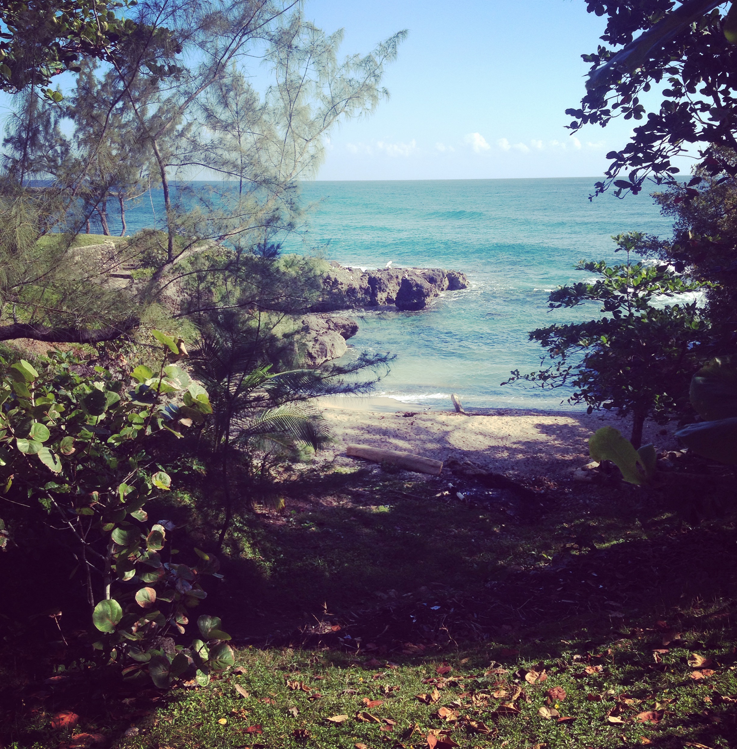 wake up, walk out your door and there is the sea. blessed BE!