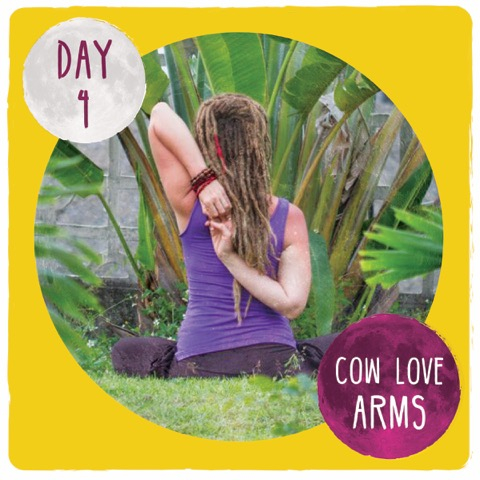 Day 4 - Cow Love Arms.jpg