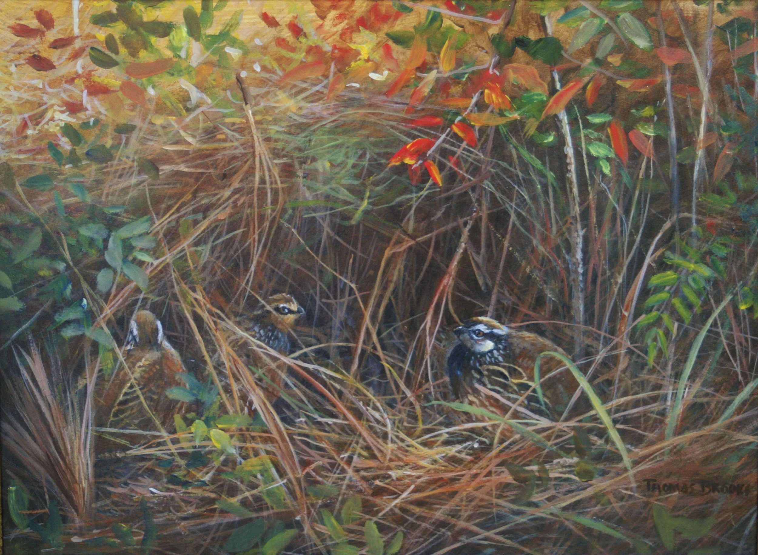 Hidden Trio - 12x16  SOLD