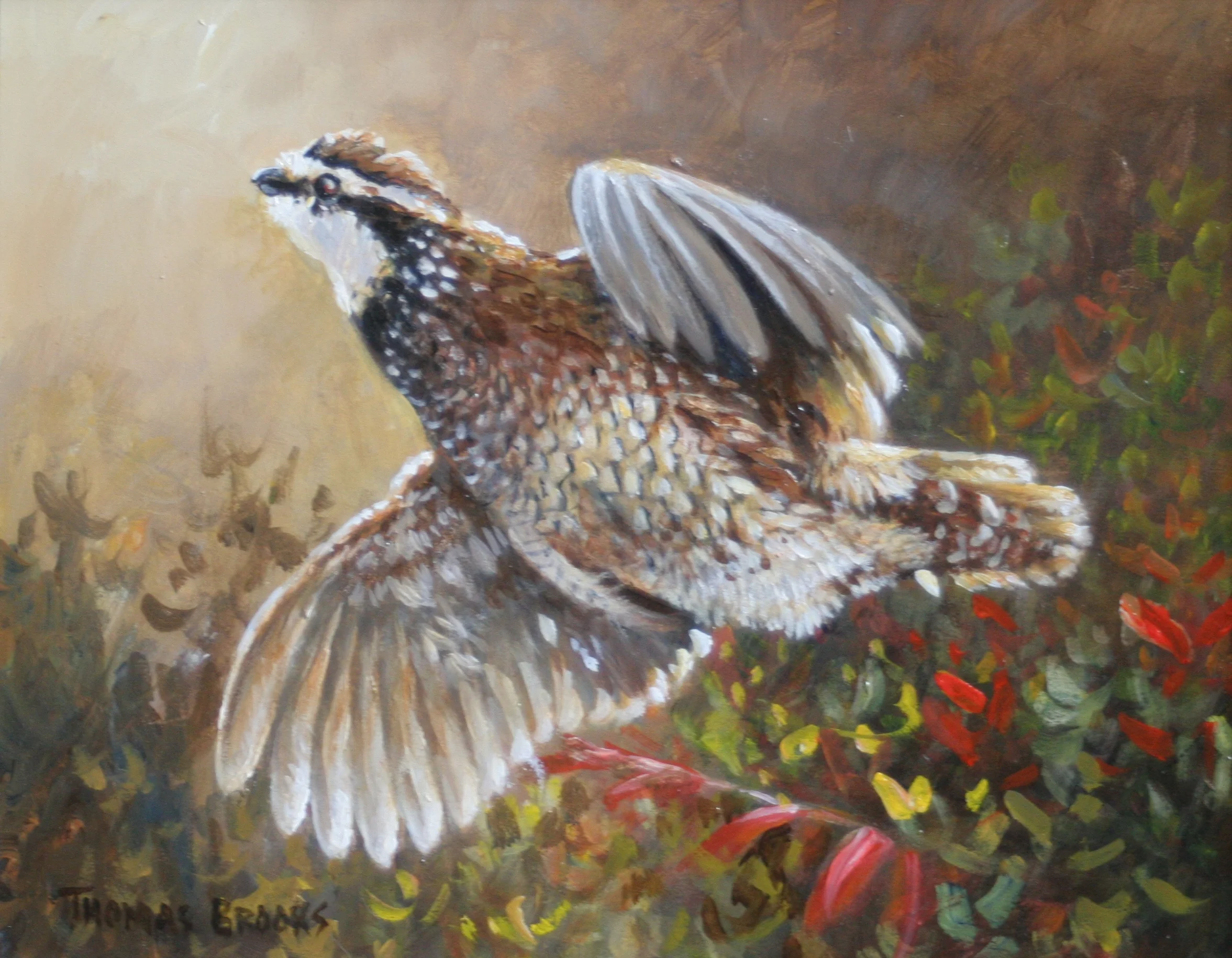 In Flight 8 x 10 inches SOLD