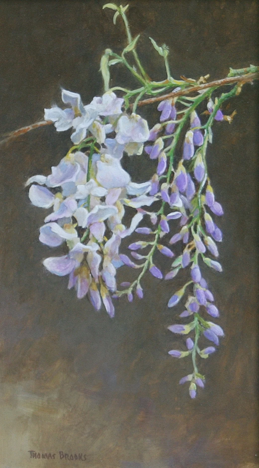 Wisteria 7"x12"